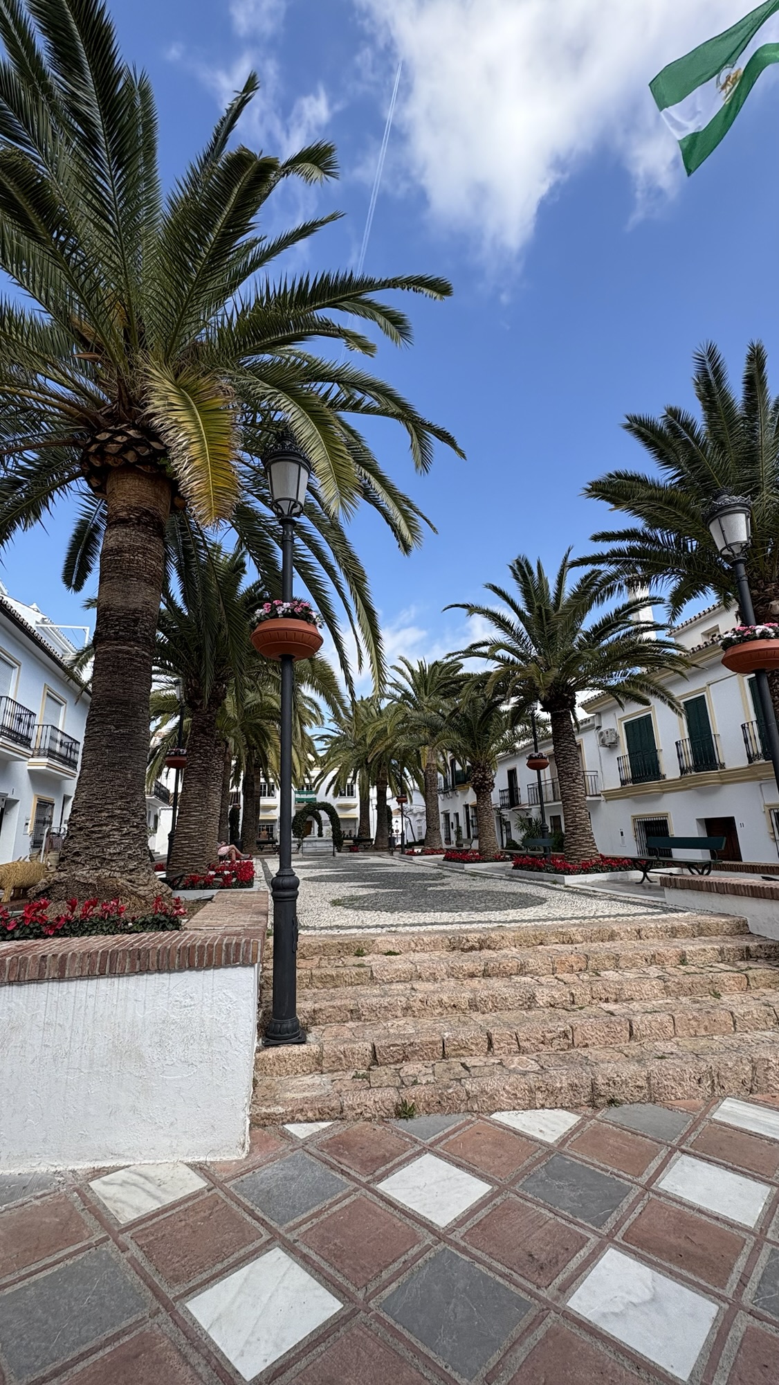 Day Trip To Benalmadena palm tree in village square