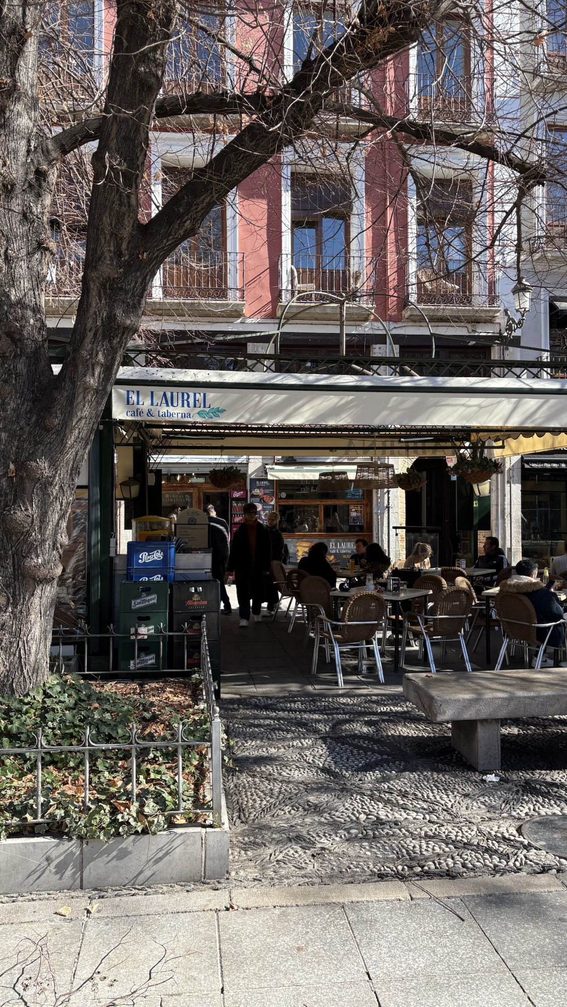 El Laurel Café and Taberna, Granada, Andalucia