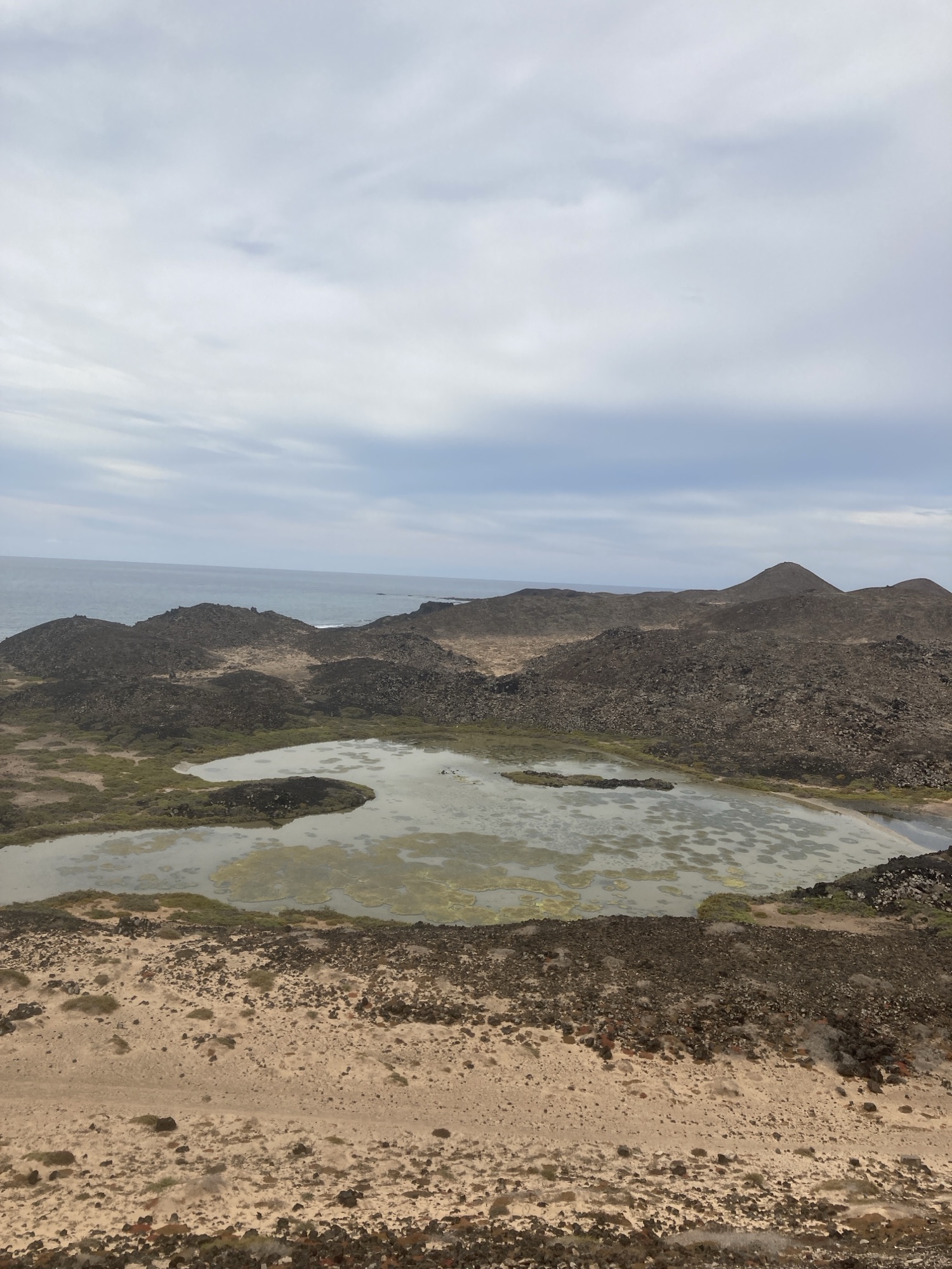 isla de lobos fuerteventura