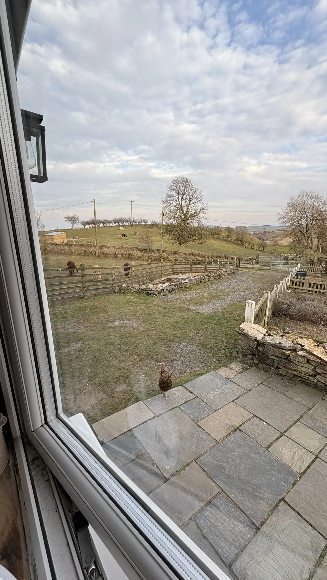 Perfect Stay at Woolly Experiences: Tranquil Cottage, Beautiful Views, and Friendly Animals