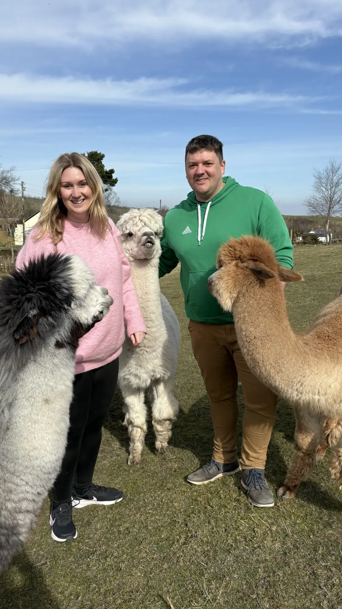 Heartwarming Visit to Woolly Experiences Therapy Farm: The Ultimate Animal Encounter
