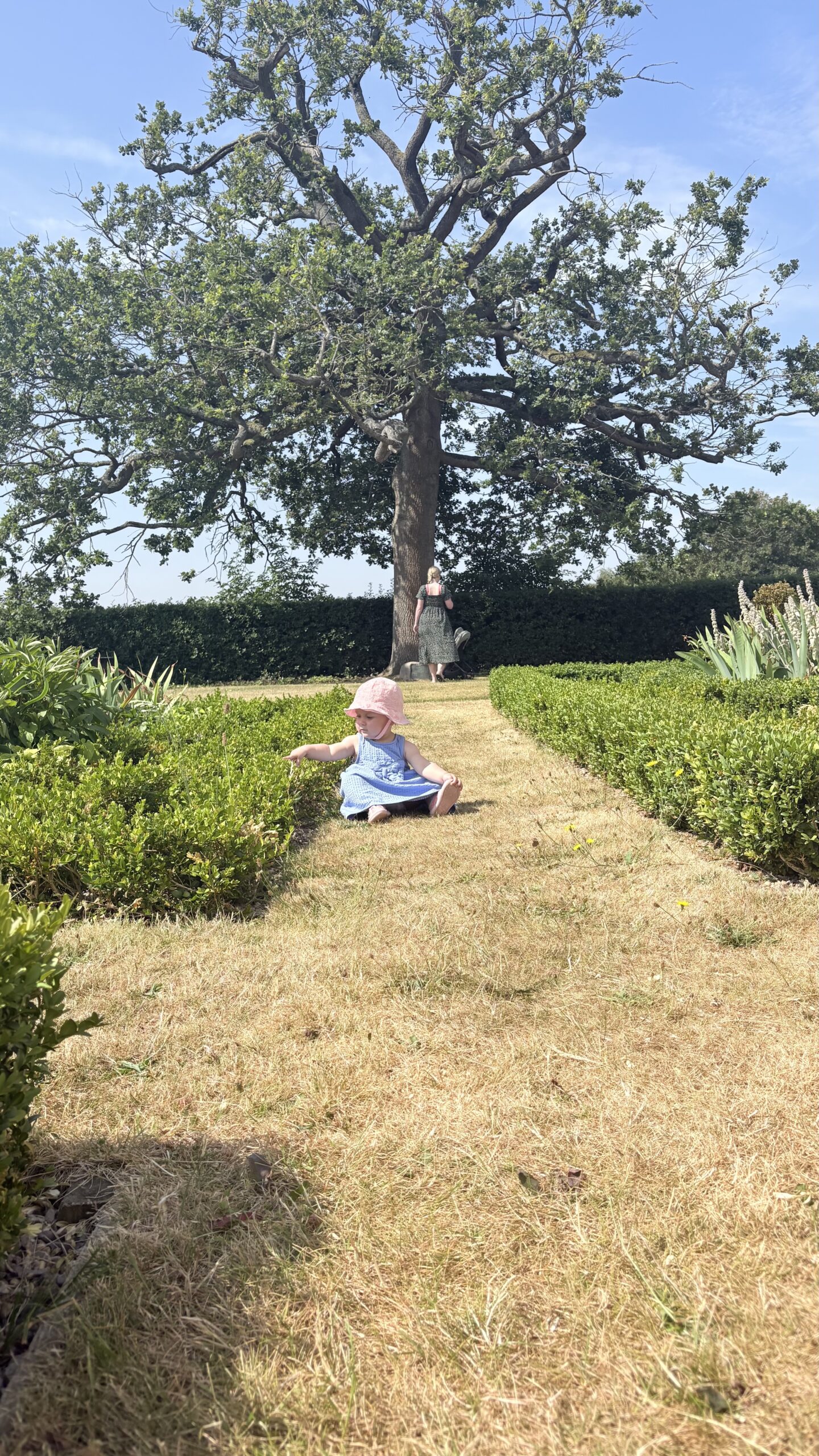 Image from Boscobel House and the Royal Oak: Where a King Hid in a Tree posted on Shared Suitcase in Cities & Destinations Boscobel House and the Royal Oak: Where a King Hid in a Tree